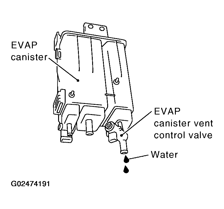 G02474191