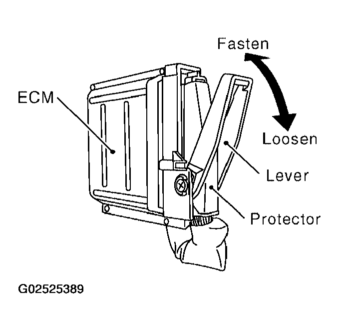 G02525389