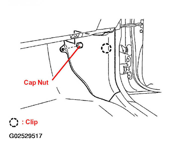 G02529517