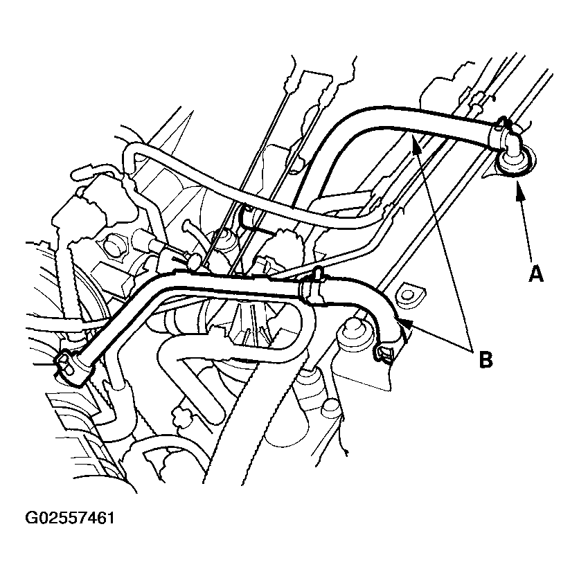 G02557461