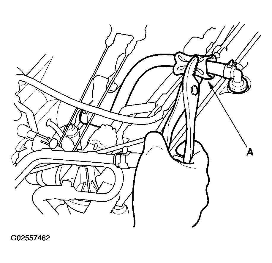 G02557462