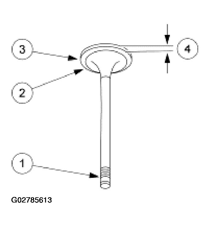 G02785613