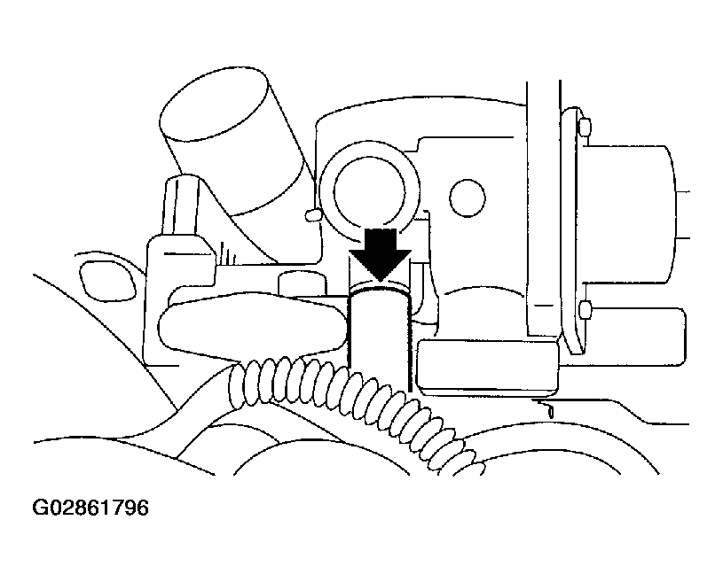 G02861796