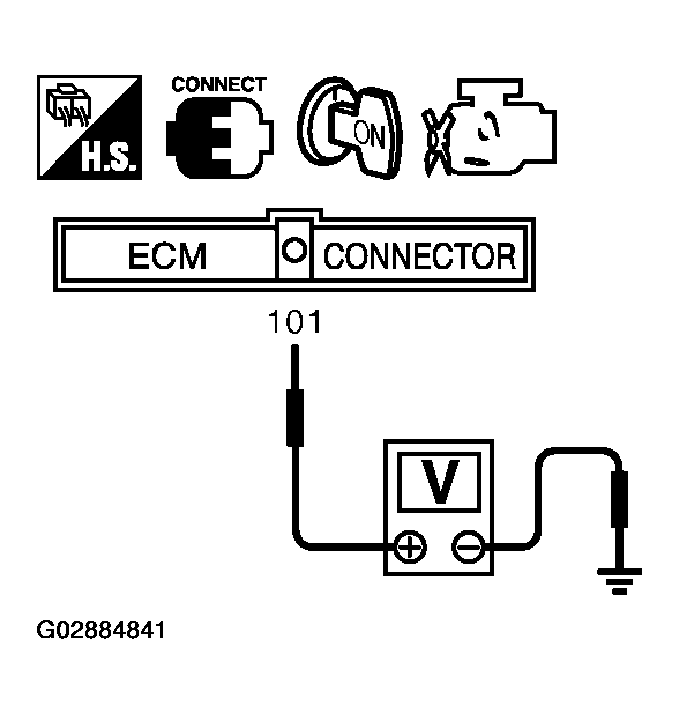G02884841