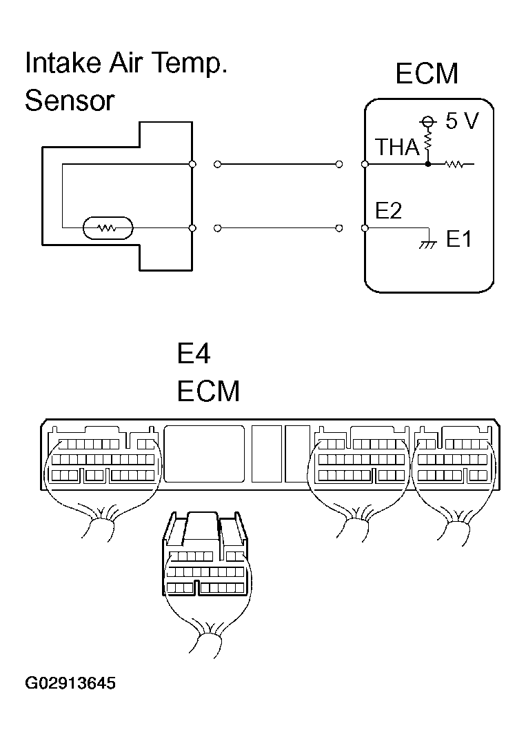 G02913645