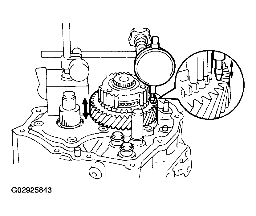 G02925843