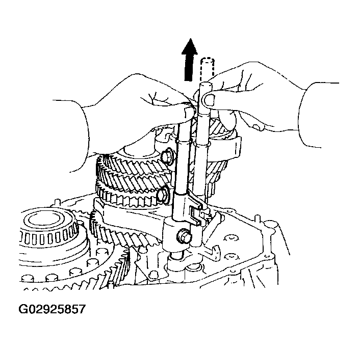 G02925857