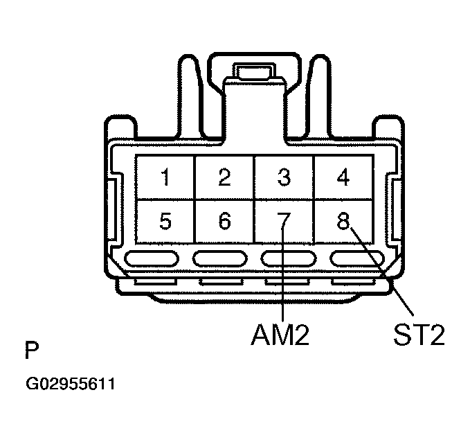 G02955611