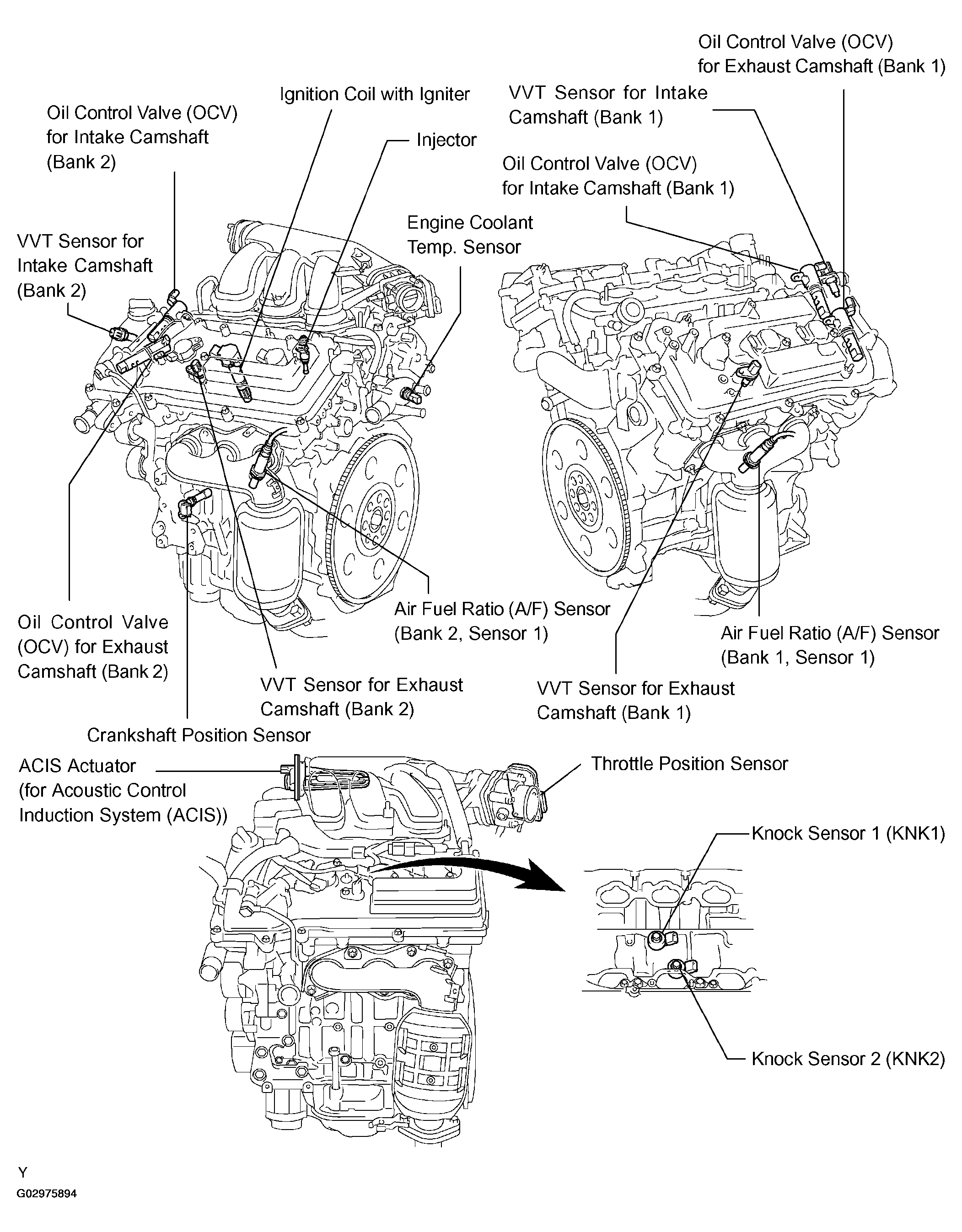 G02975894