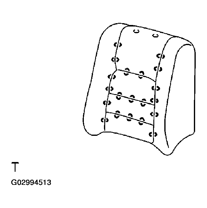G02994513