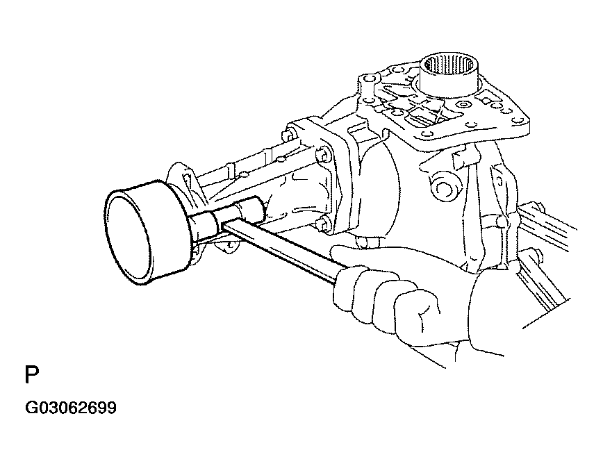 G03062699