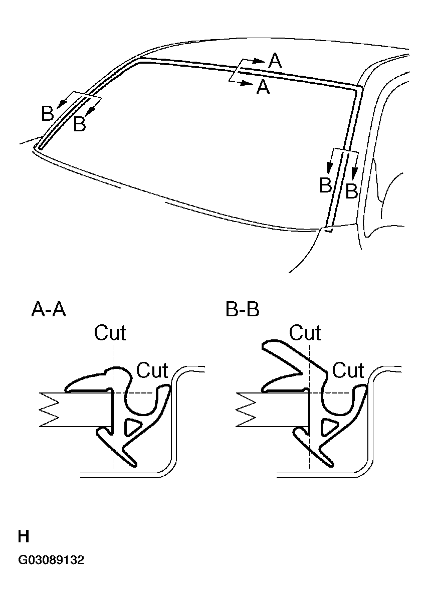 G03089132