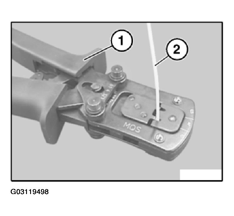G03119498