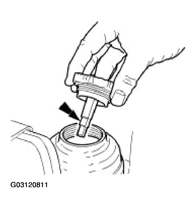 G03120811