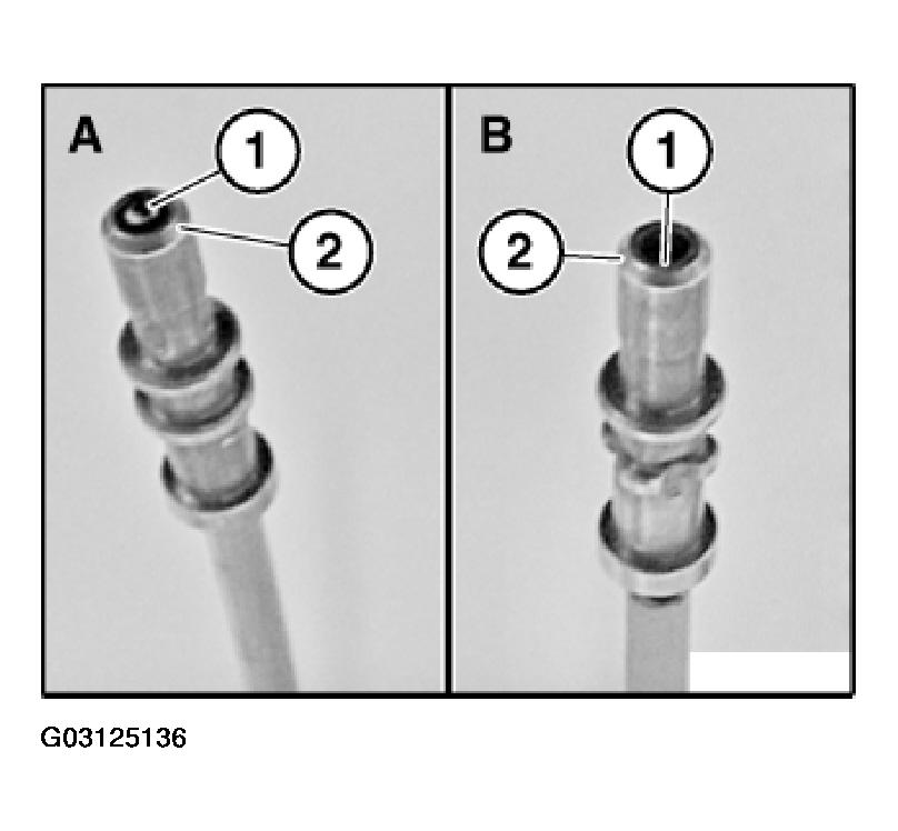 G03125136