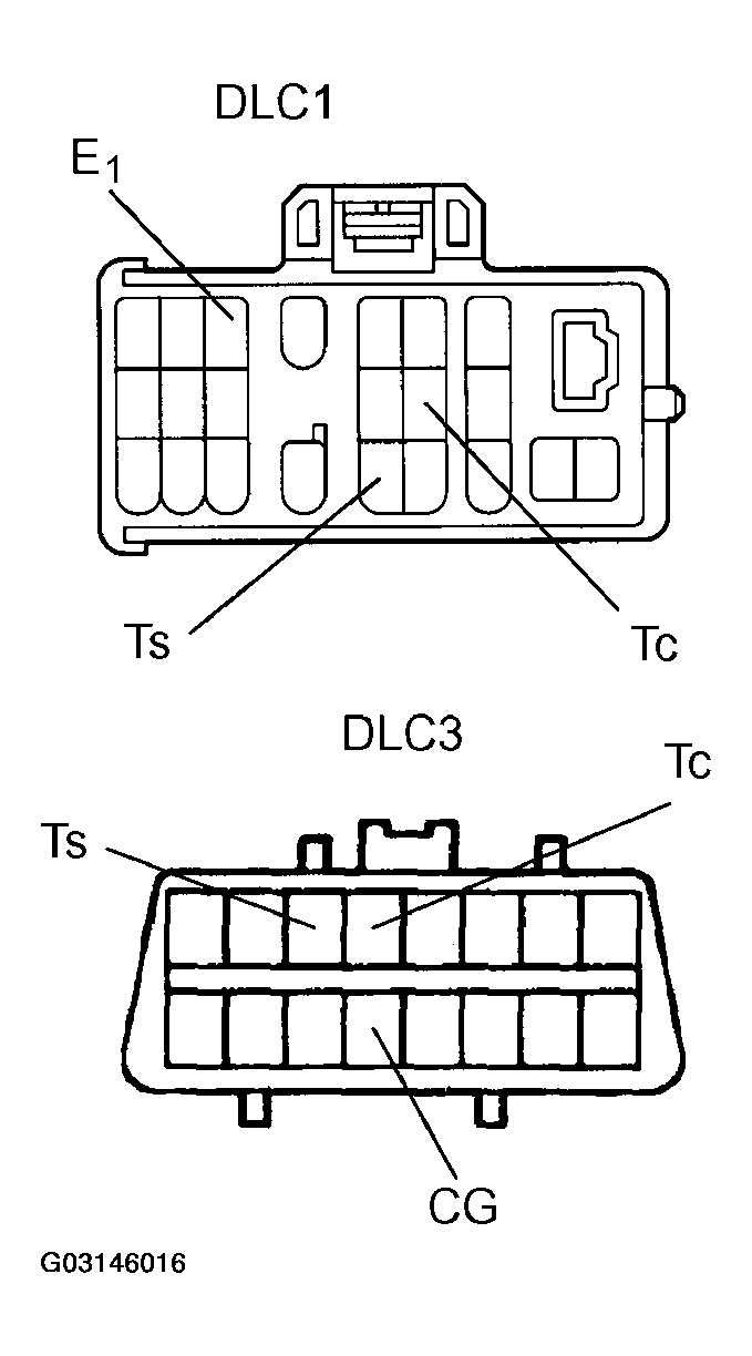 G03146016