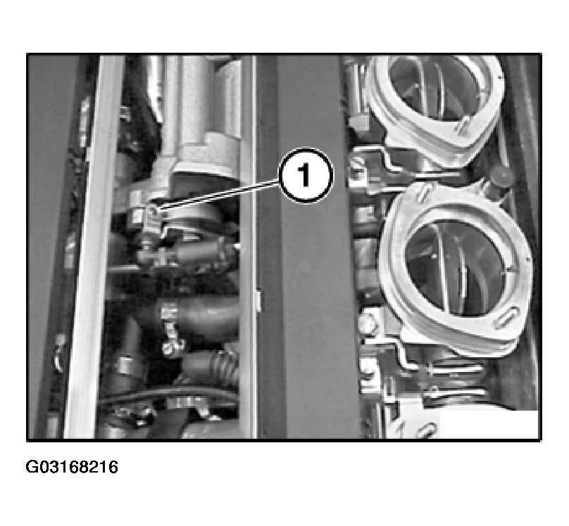 G03168216