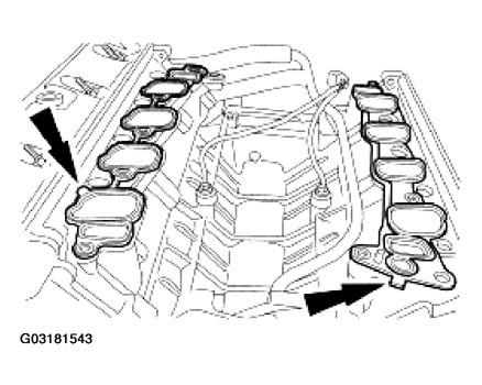 G03181543