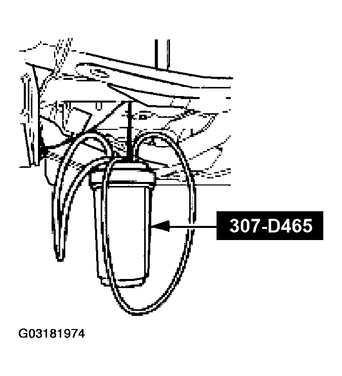 G03181974