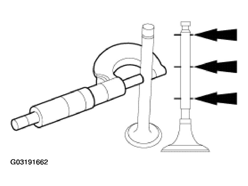 G03191662