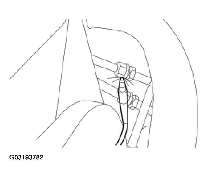 G03193782