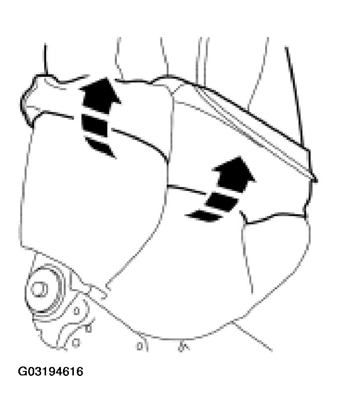 G03194616
