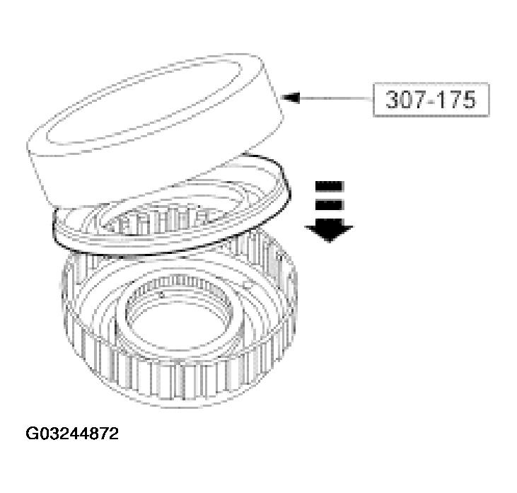 G03244872