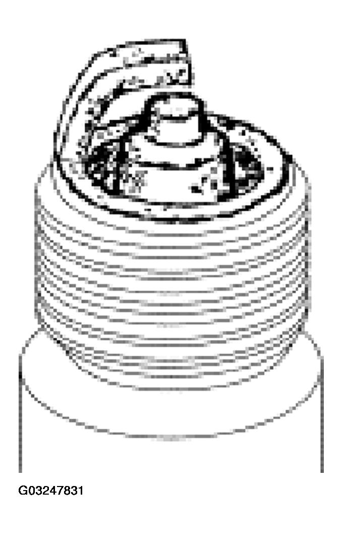 G03247831