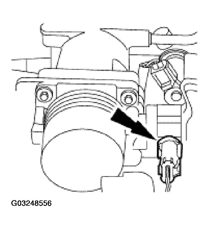 G03248556