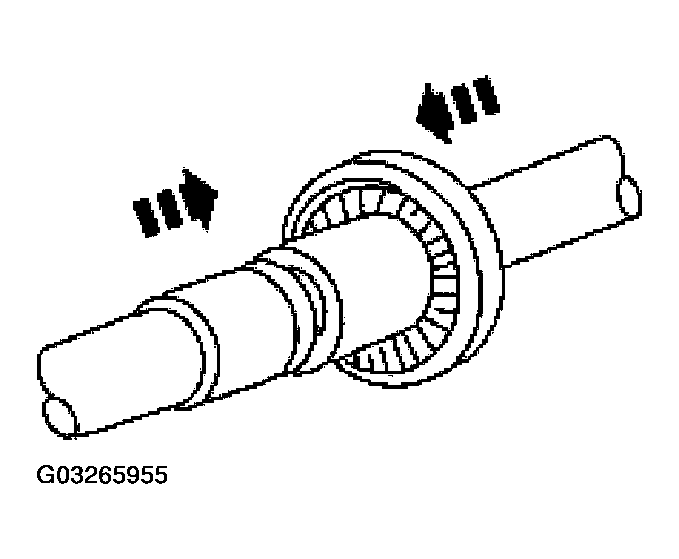 G03265955