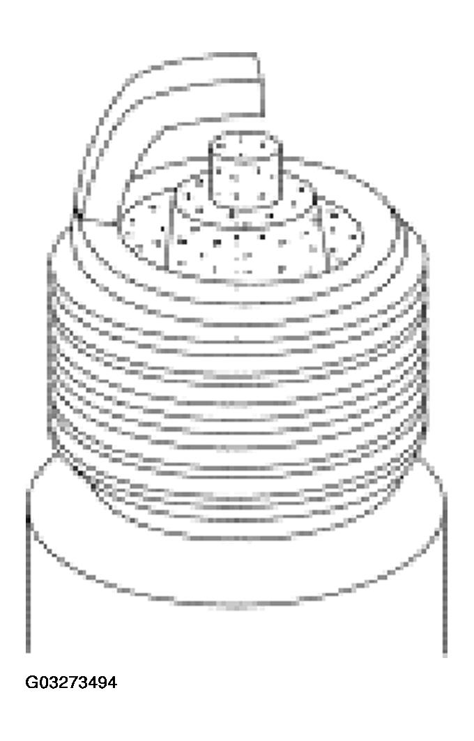 G03273494