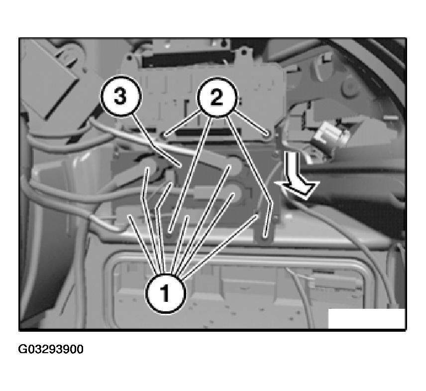 G03293900