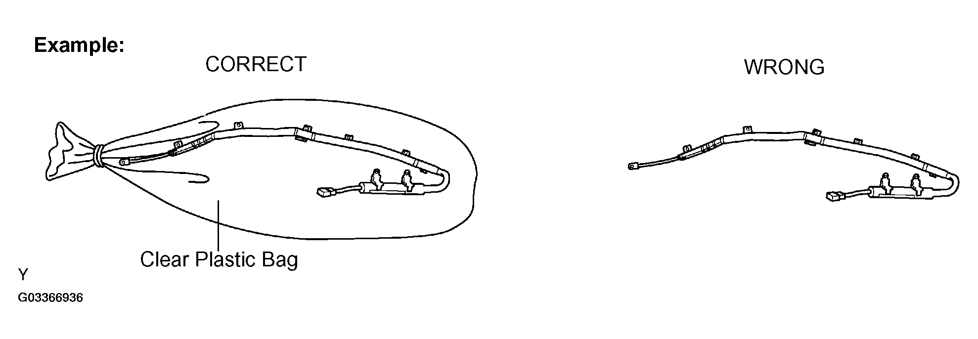 G03366936