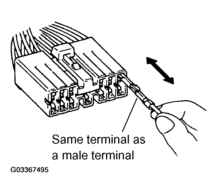 G03367495