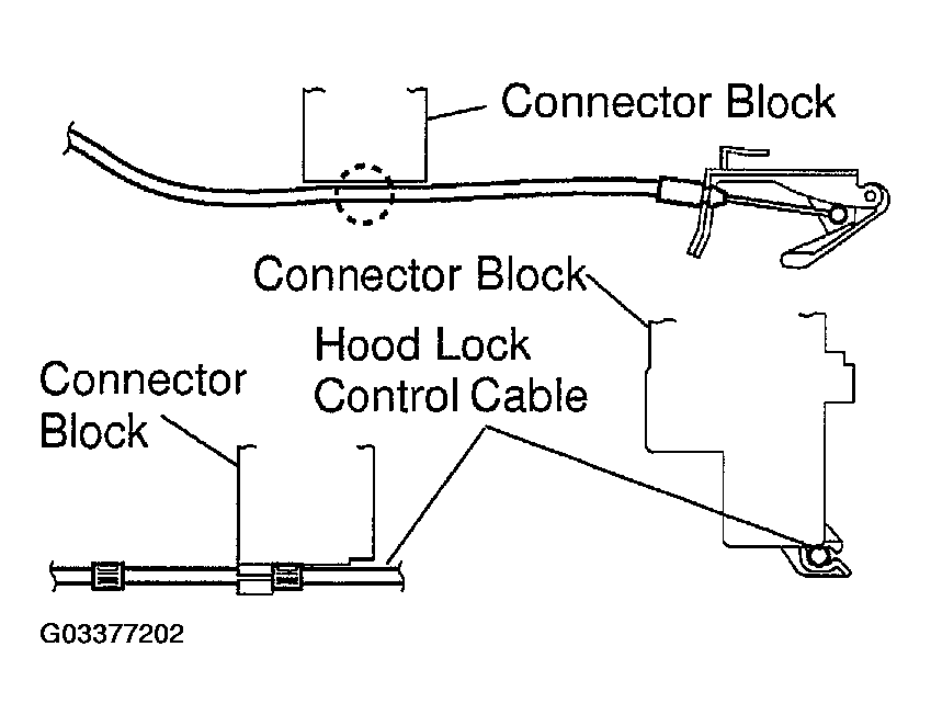 G03377202