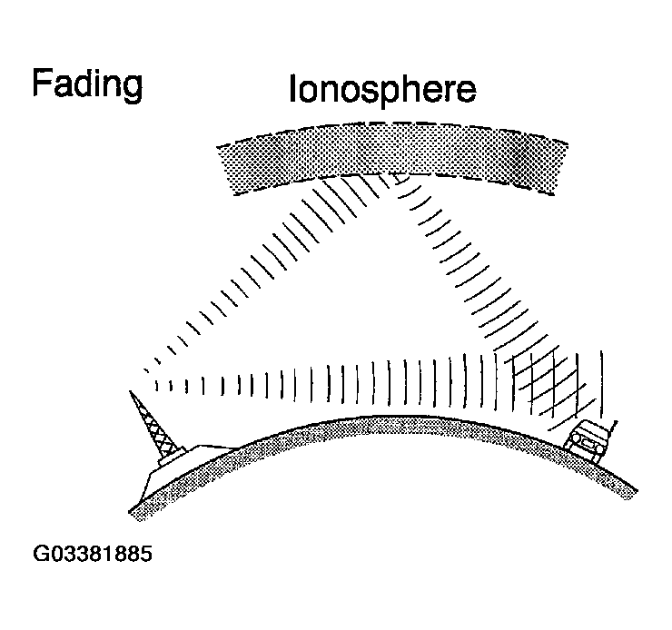 G03381885