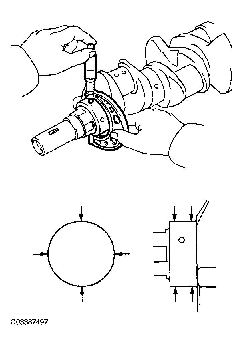 G03387497