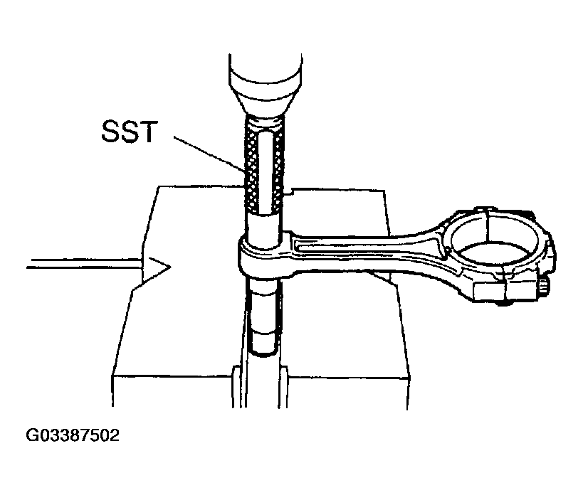 G03387502