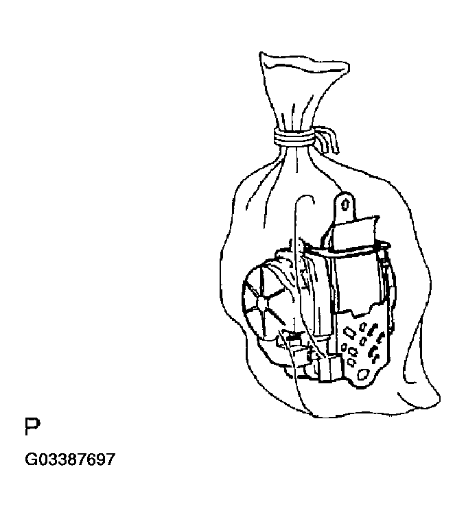 G03387697