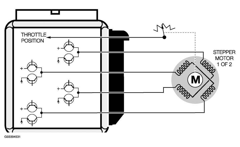 G03394531