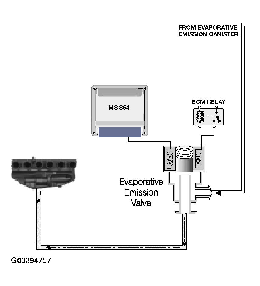 G03394757