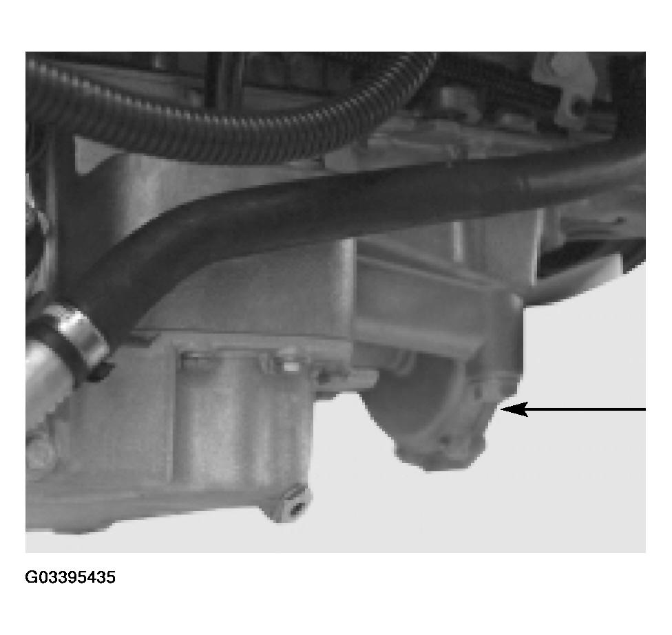 G03395435