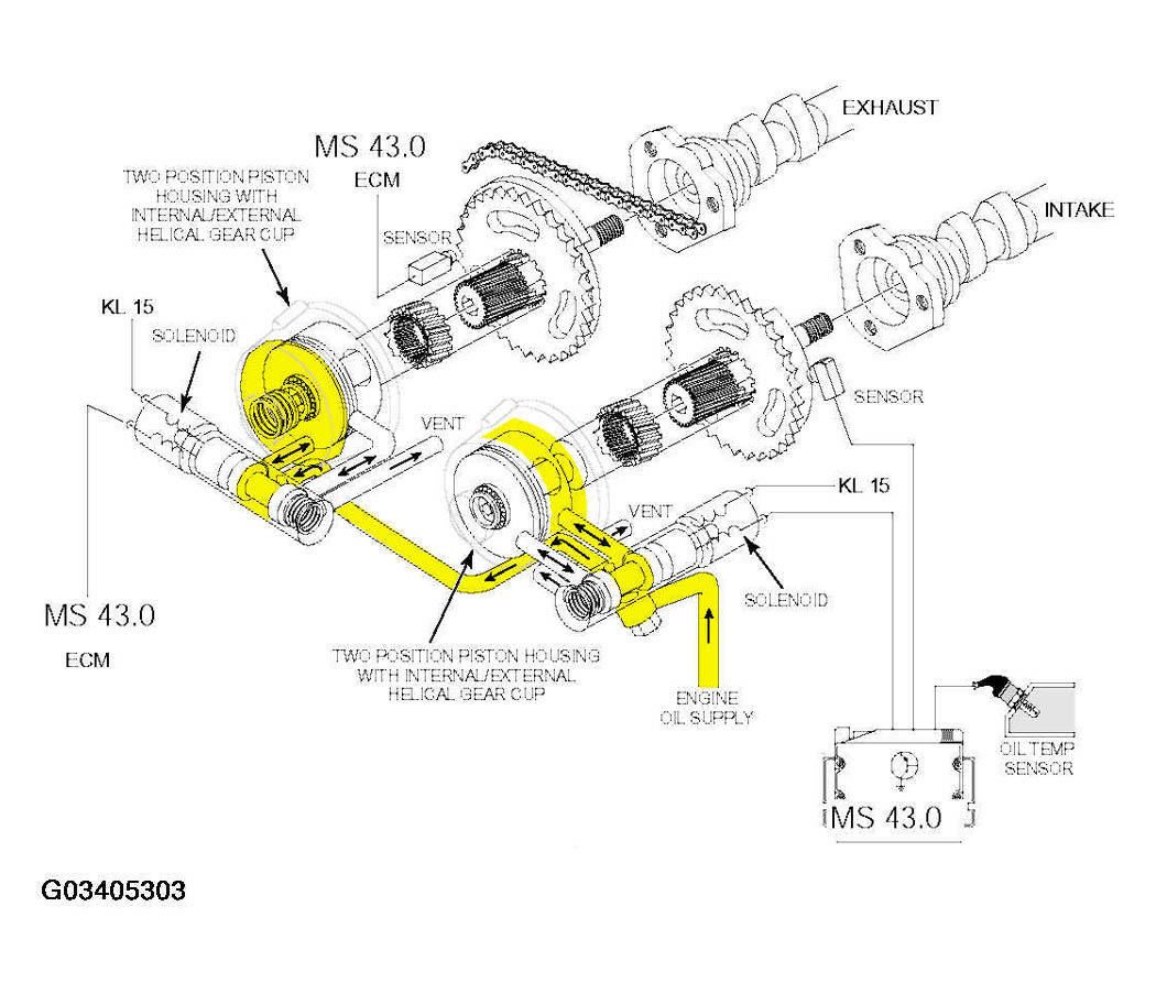 G03405303