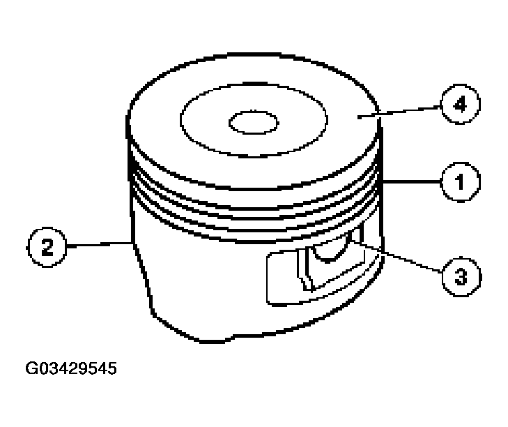 G03429545