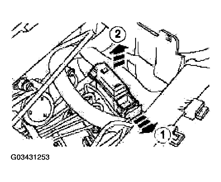 G03431253