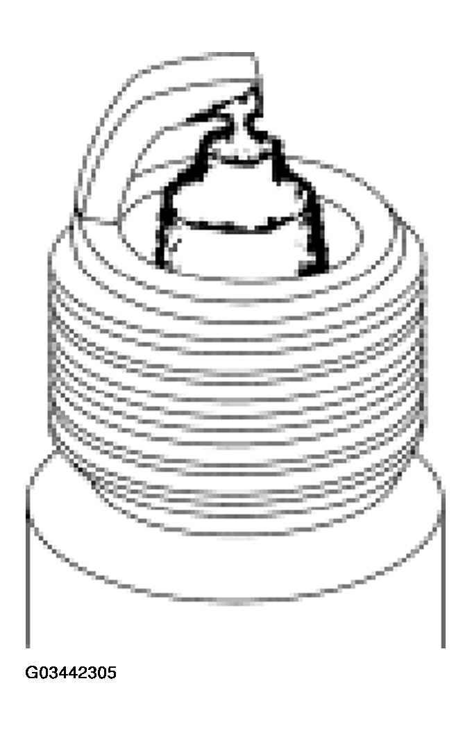 G03442305