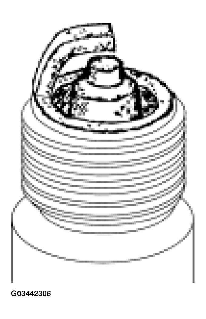 G03442306