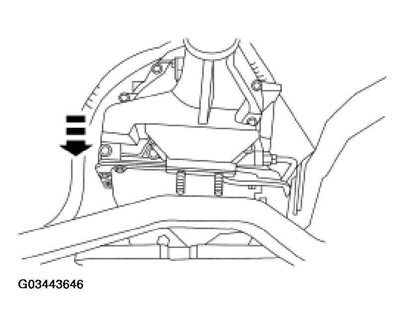 G03443646