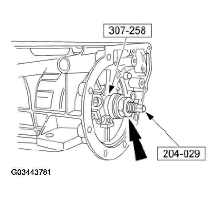 G03443781