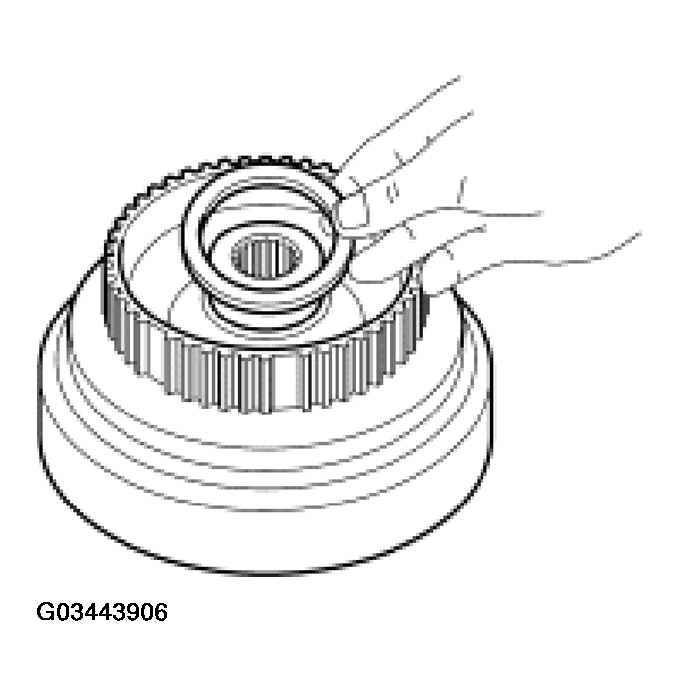 G03443906